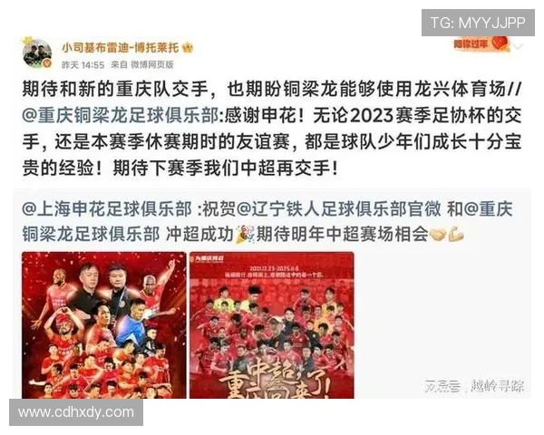 上海足球队个人能力引发热议球迷对球员表现的不同看法分析