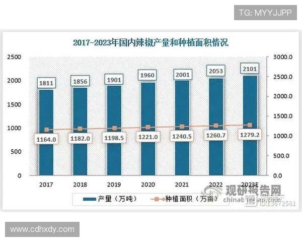 杭州排球队在联合会杯中的实力展现与未来发展潜力分析