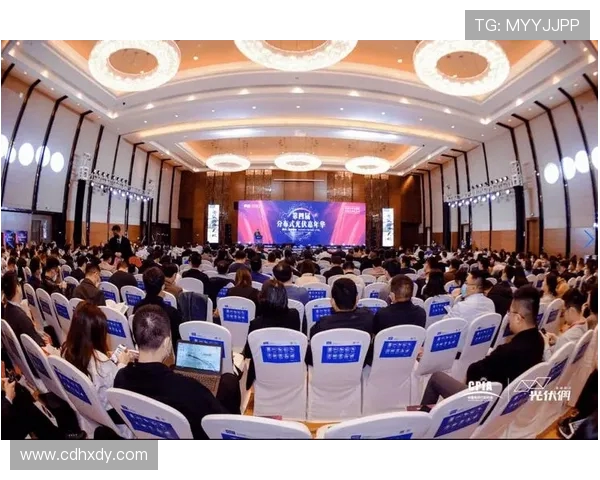 王娜乒乓球生涯的深度对话与心路历程探索