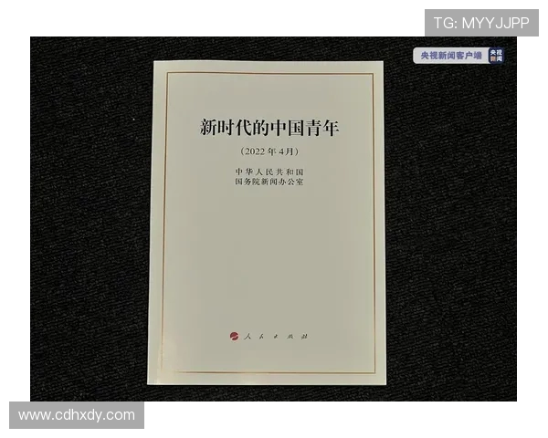 崔永熙：探索新时代青年文化与社会责任的多维视角